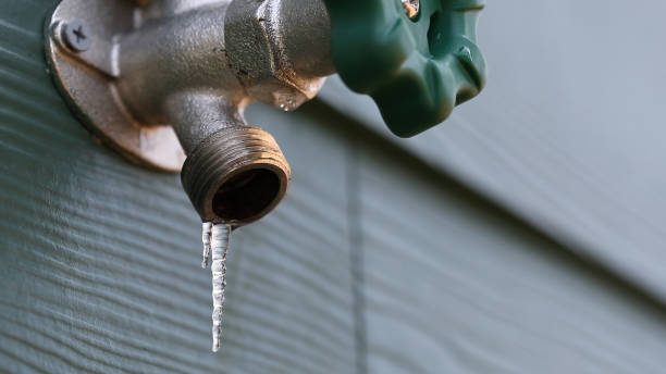 Best Emergency Plumber  in Palmer, TX